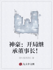 神豪：开局继承董事长！小说最新章节免费在线阅读_神豪：开局继承董事长！全文完本精彩大结局