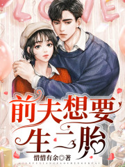 前夫想要生二胎小说最新章节免费在线阅读_前夫想要生二胎全文完本精彩大结局