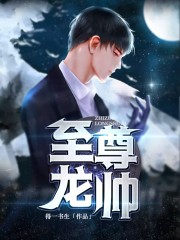至尊龙帅小说最新章节免费在线阅读_至尊龙帅全文完本精彩大结局