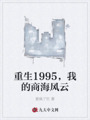 重生1995，我的商海风云小说最新章节免费在线阅读_重生1995，我的商海风云全文完本精彩大结局