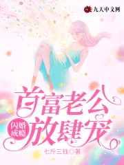 闪婚成瘾，首富老公放肆宠小说最新章节免费在线阅读_闪婚成瘾，首富老公放肆宠全文完本精彩大结局