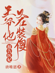医妃，王爷他又在装傻了！小说最新章节免费在线阅读_医妃，王爷他又在装傻了！全文完本精彩大结局