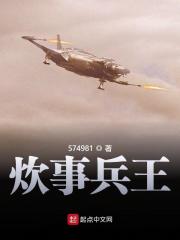 炊事兵王小说最新章节免费在线阅读_炊事兵王全文完本精彩大结局