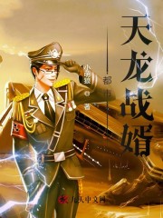 都市天龙战婿小说最新章节免费在线阅读_都市天龙战婿全文完本精彩大结局