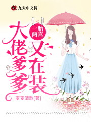一胎两喜，大佬爹爹又在装小说最新章节免费在线阅读_一胎两喜，大佬爹爹又在装全文完本精彩大结局