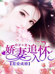 惹爱成婚：娇妻追入怀小说最新章节免费在线阅读_惹爱成婚：娇妻追入怀全文完本精彩大结局