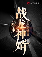 都市战龙神婿小说最新章节免费在线阅读_都市战龙神婿全文完本精彩大结局