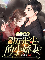 一不小心成了厉先生的小娇妻小说最新章节免费在线阅读_一不小心成了厉先生的小娇妻全文完本精彩大结局