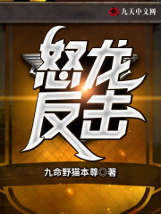 怒龙反击小说最新章节免费在线阅读_怒龙反击全文完本精彩大结局
