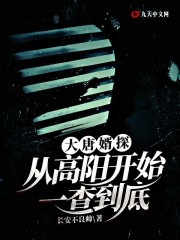 大唐婿探：从高阳开始一查到底小说最新章节免费在线阅读_大唐婿探：从高阳开始一查到底全文完本精彩大结局