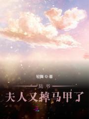 陆爷，夫人又掉马甲了小说最新章节免费在线阅读_陆爷，夫人又掉马甲了全文完本精彩大结局