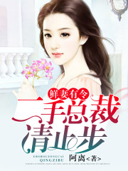鲜妻有令：二手总裁，请止步小说最新章节免费在线阅读_鲜妻有令：二手总裁，请止步全文完本精彩大结局