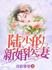 陆少的新婚医妻小说最新章节免费在线阅读_陆少的新婚医妻全文完本精彩大结局