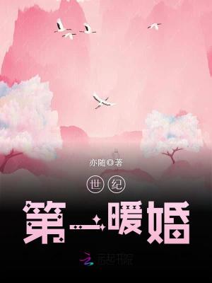 世纪第一暖婚小说最新章节免费在线阅读_世纪第一暖婚全文完本精彩大结局