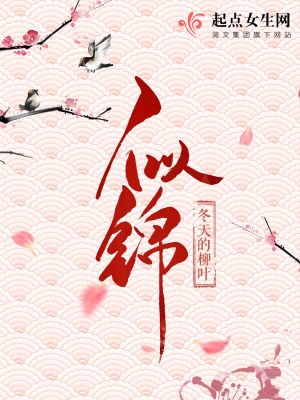 似锦小说最新章节免费在线阅读_似锦全文完本精彩大结局