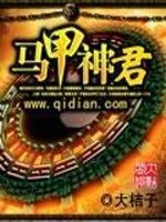 马甲神君小说最新章节免费在线阅读_马甲神君全文完本精彩大结局