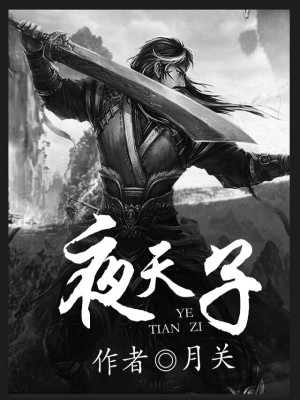 夜天子小说最新章节免费在线阅读_夜天子全文完本精彩大结局