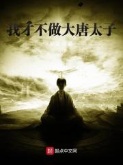 我才不做大唐太子小说最新章节免费在线阅读_我才不做大唐太子全文完本精彩大结局