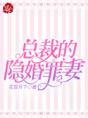 总裁的隐婚罪妻小说最新章节免费在线阅读_总裁的隐婚罪妻全文完本精彩大结局