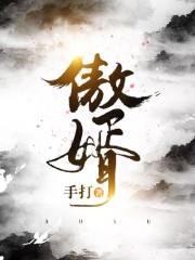 傲婿小说最新章节免费在线阅读_傲婿全文完本精彩大结局