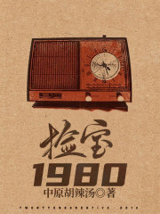 捡宝1980全文免费完整版阅读_张婉茹,林雷_捡宝1980最新章节更新全集