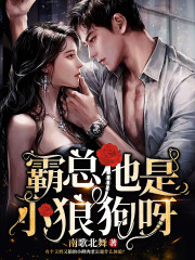 霸总他是小狼狗呀全文免费完整版阅读_林归黎,何厉琛_霸总他是小狼狗呀最新章节更新全集