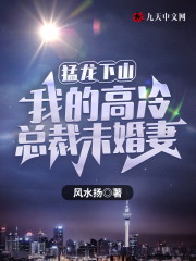 猛龙下山：我的高冷总裁未婚妻全文免费完整版阅读_杨风,宁倾城_猛龙下山：我的高冷总裁未婚妻最新章节更新全集