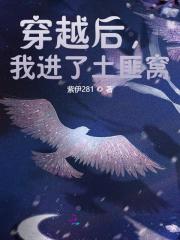 穿越后，我进了土匪窝全文免费完整版阅读_叶娇娇,夏承衍_穿越后，我进了土匪窝最新章节更新全集