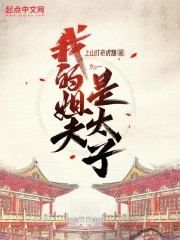 我的姐夫是太子全文免费完整版阅读_张安世,徐静怡_我的姐夫是太子最新章节更新全集