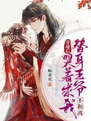 【主角叶知舟宁渡】穿越后，替身王爷哭着求我不和离txt全集阅读