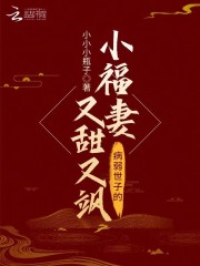 【主角沈易佳宋璟辰】病弱世子的小福妻又甜又飒txt全集阅读