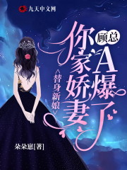 【主角顾星岚秦小冉】替身新娘：顾总她老婆A爆了txt全集阅读