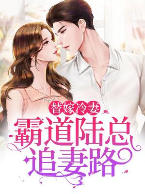 【主角何清陆景行】替嫁冷妻：霸道陆总追妻路txt全集阅读
