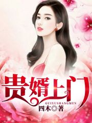 【主角叶青林雅静】贵婿上门txt全集阅读