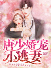 【主角莫璃唐煜】唐少娇宠小逃妻txt全集阅读