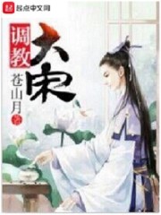 【主角唐大郎赵匡胤】我的大宋不能输！txt全集阅读