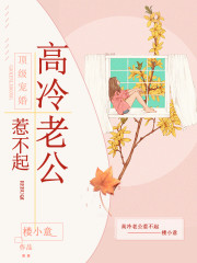 【妙手作家楼小意】顶级宠婚：高冷老公惹不起（又名：宠妻总裁坏透了）txt全集阅读