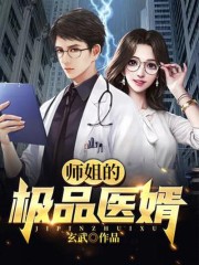 【主角陆鸣萧玲珑】师姐的极品医婿txt全集阅读