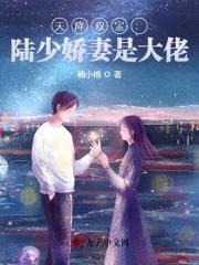 【主角叶淇陆厉沉】天降双宝：陆少娇妻是大佬txt全集阅读