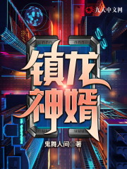 【主角叶飞唐若雪】镇龙神婿txt全集阅读