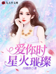 【主角顾颜欢司少琛】爱你时星火璀璨txt全集阅读