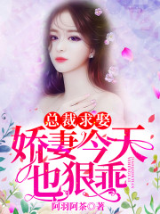 【主角沈言奚顾洐御】二婚新妻：爷的女人不好撩txt全集阅读