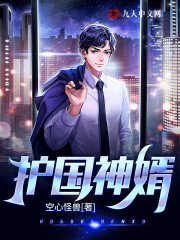 【妙手作家空心怪兽】护国神婿txt全集阅读
