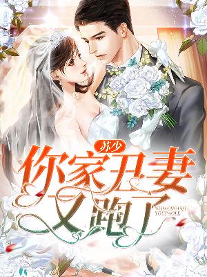 【主角叶灵汐苏锦宸】苏少，你家丑妻又跑了txt全集阅读