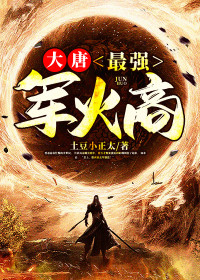 【主角唐天李世民】大唐：最强军火商txt全集阅读