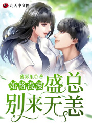 【主角叶倾盛华庭】婚路漫漫：盛总，别来无恙txt全集阅读