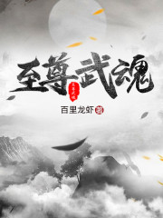 【妙手作家百里龙虾】至尊武魂txt全集阅读