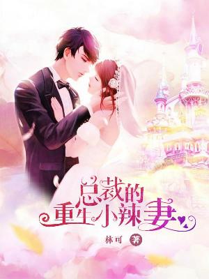 【主角乔沐秦之烨】总裁的重生小辣妻txt全集阅读