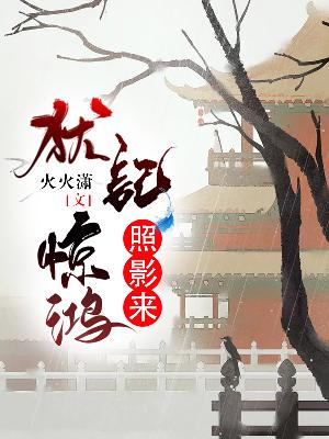 【主角慕谨煜白若菡】犹记惊鸿照影来txt全集阅读