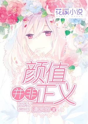 【主角宋珞梓贺曦风】颜值并非正义txt全集阅读